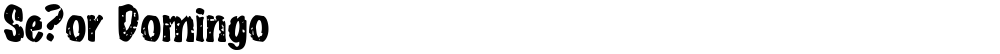 Se?or Domingo