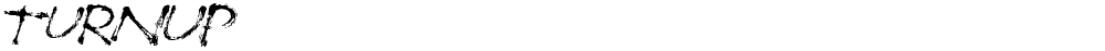 TurnUp