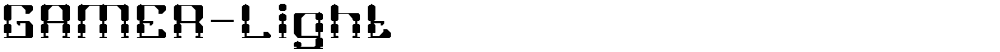 GAMER-Light