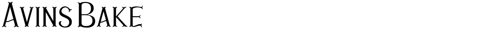 Avins Bake