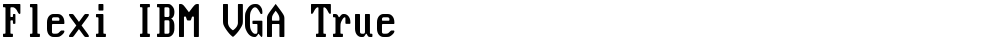 Flexi IBM VGA True