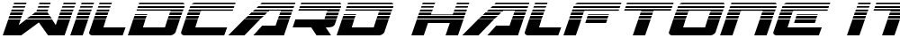 Wildcard Halftone Italic