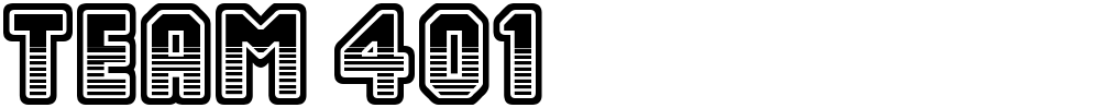 Team 401