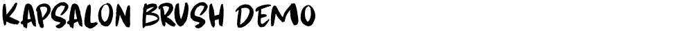 Kapsalon Brush DEMO