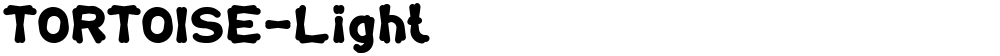 TORTOISE-Light