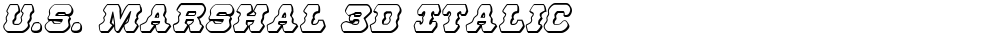 U.S. Marshal 3D Italic