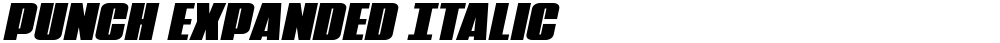 Punch Expanded Italic