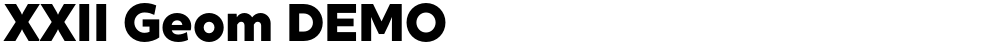 XXII Geom DEMO