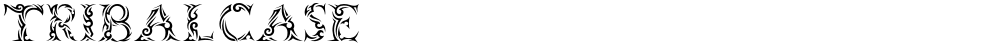 Tribalcase