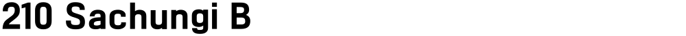 210 Sachungi B
