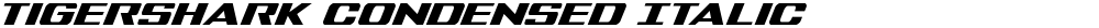 Tigershark Condensed Italic