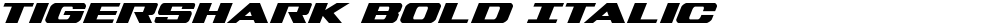 Tigershark Bold Italic