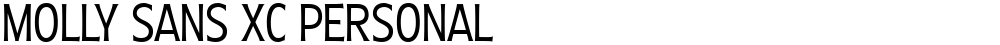 Molly Sans XC PERSONAL