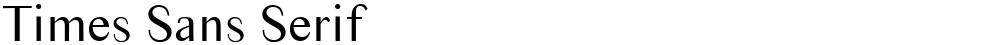 Times Sans Serif