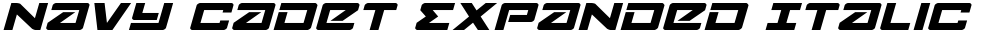 Navy Cadet Expanded Italic