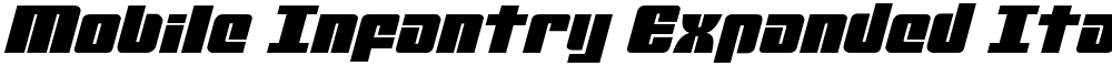 Mobile Infantry Expanded Italic