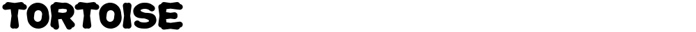 TORTOISE