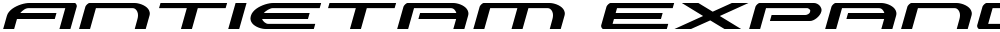 Antietam Expanded Italic