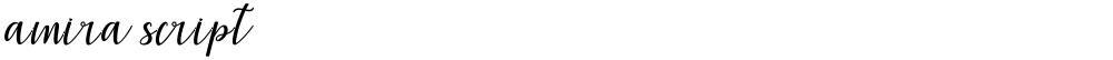 amira script