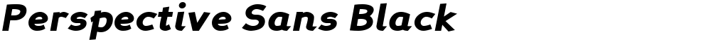 Perspective Sans Black