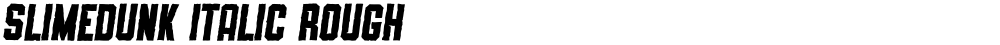 SLIMEDUNK ITALIC ROUGH
