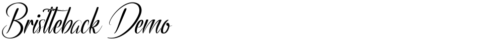 Bristteback Demo