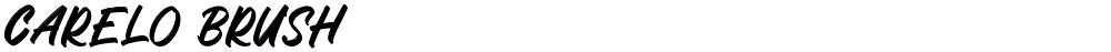 Carelo Brush