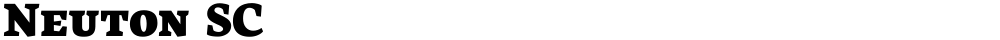 Neuton SC