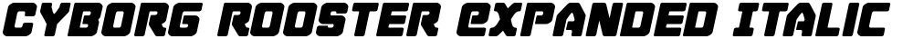 Cyborg Rooster Expanded Italic