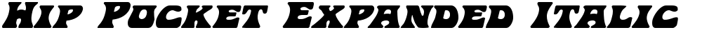 Hip Pocket Expanded Italic