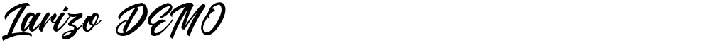 Larizo DEMO