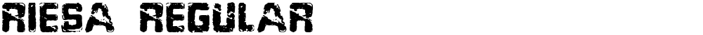 Riesa Regular