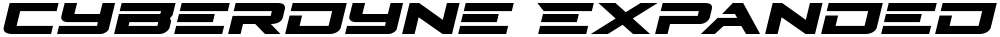 Cyberdyne Expanded Italic