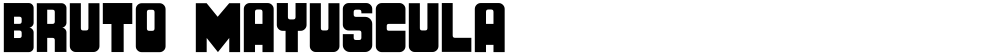 BRUTO MAYUSCULA