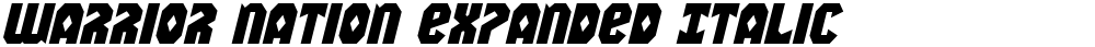 Warrior Nation Expanded Italic