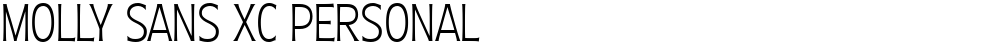 Molly Sans XC PERSONAL