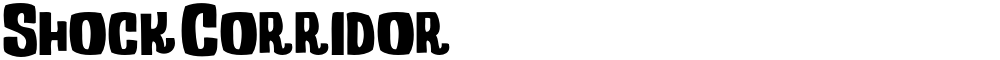Shock Corridor