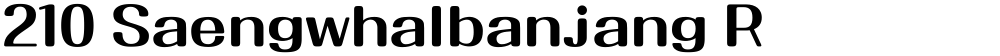 210 Saengwhalbanjang R