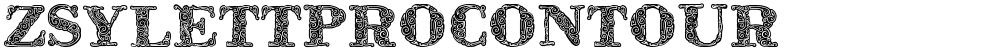 ZsylettProContour