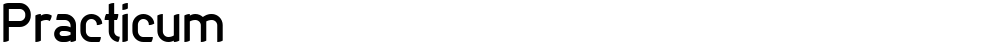 Practicum
