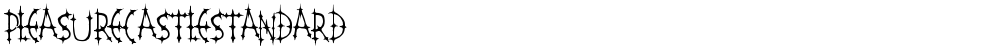 PleasureCastleStandard