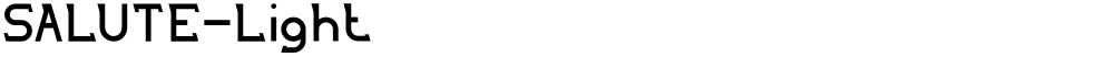 SALUTE-Light