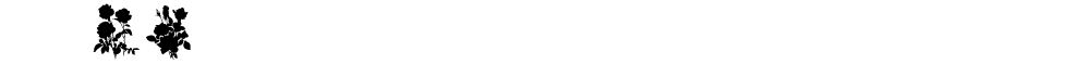 SubiktoTwo