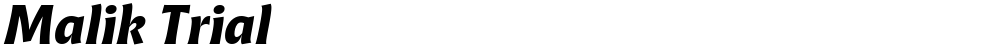Malik Trial