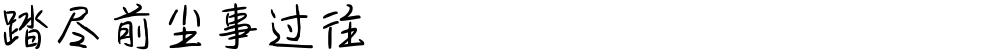 踏尽前尘事过往