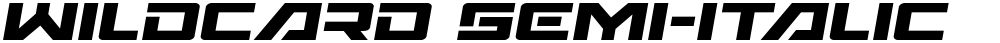 Wildcard Semi-Italic