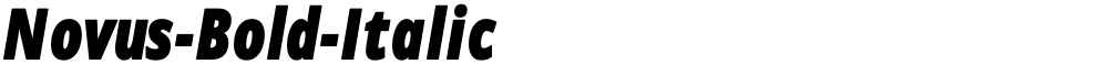 Novus-Bold-Italic