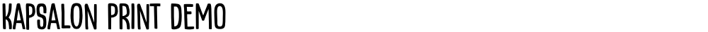 Kapsalon Print DEMO