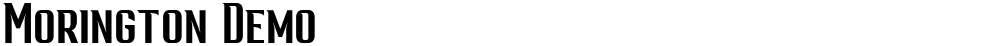 Morington Demo