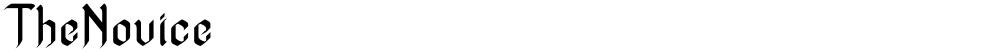TheNovice